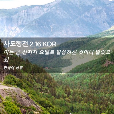 Picture 02 - 사도행전 2:16 KOR - 이는 곧 선지자 요엘로 말씀하신 - Bible Verse Picture
