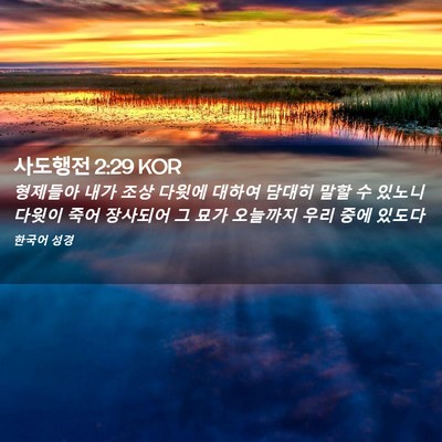 Picture 02 - 사도행전 2:29 KOR - 형제들아 내가 조상 다윗에 대하여 - Bible Verse Picture