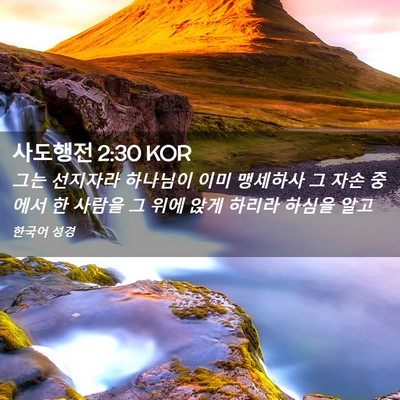 Picture 02 - 사도행전 2:30 KOR - 그는 선지자라 하나님이 이미 - Bible Verse Picture