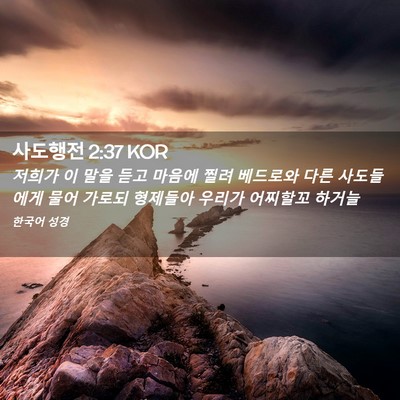 Picture 02 - 사도행전 2:37 KOR - 저희가 이 말을 듣고 마음에 찔려 - Bible Verse Picture