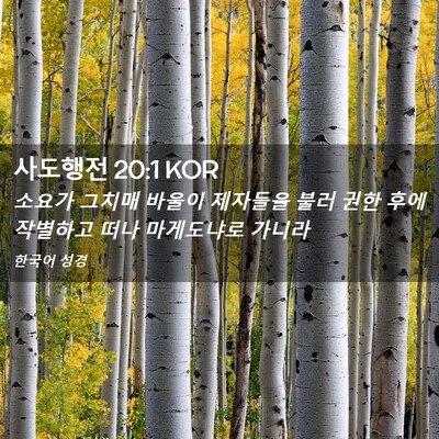 Picture 02 - 사도행전 20:1 KOR - 소요가 그치매 바울이 제자들을 불러 - Bible Verse Picture