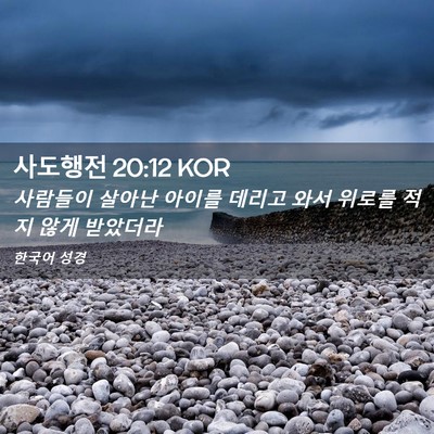 Picture 02 - 사도행전 20:12 KOR - 사람들이 살아난 아이를 데리고 와서 - Bible Verse Picture