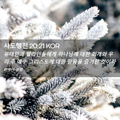 Picture 02 - 사도행전 20:21 KOR - 유대인과 헬라인들에게 하나님께 - Bible Verse Picture