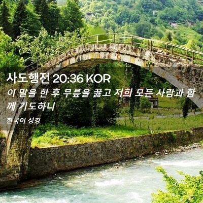 Picture 02 - 사도행전 20:36 KOR - 이 말을 한 후 무릎을 꿇고 저희 모든 - Bible Verse Picture