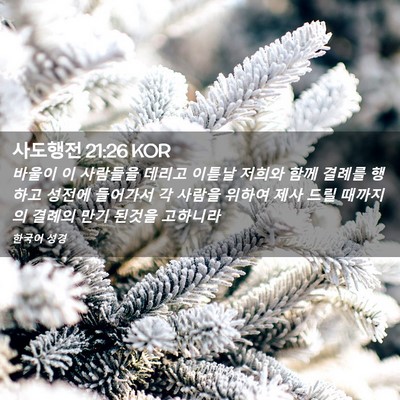 Picture 02 - 사도행전 21:26 KOR - 바울이 이 사람들을 데리고 이튿날 - Bible Verse Picture