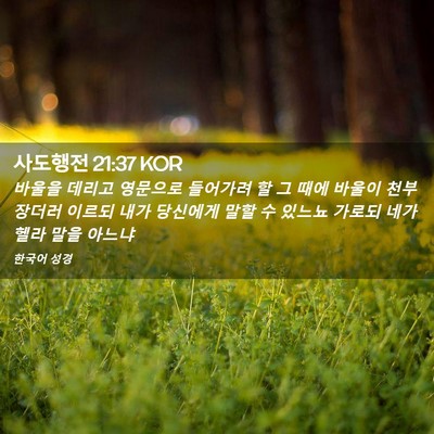 Picture 02 - 사도행전 21:37 KOR - 바울을 데리고 영문으로 들어가려 할 - Bible Verse Picture