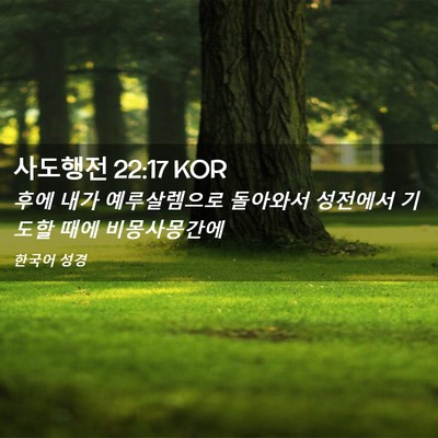 Picture 02 - 사도행전 22:17 KOR - 후에 내가 예루살렘으로 돌아와서 - Bible Verse Picture