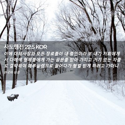 Picture 02 - 사도행전 22:5 KOR - 이에 대제사장과 모든 장로들이 내 - Bible Verse Picture