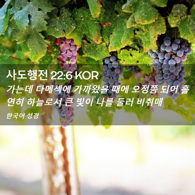 Picture 02 - 사도행전 22:6 KOR - 가는데 다메섹에 가까왔을 때에 - Bible Verse Picture