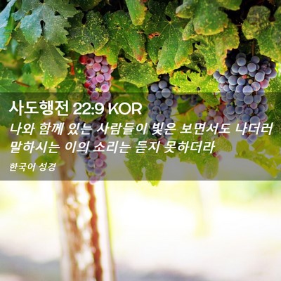 Picture 02 - 사도행전 22:9 KOR - 나와 함께 있는 사람들이 빛은 - Bible Verse Picture