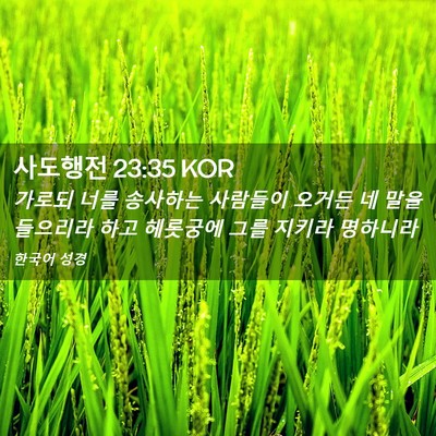 Picture 02 - 사도행전 23:35 KOR - 가로되 너를 송사하는 사람들이 - Bible Verse Picture