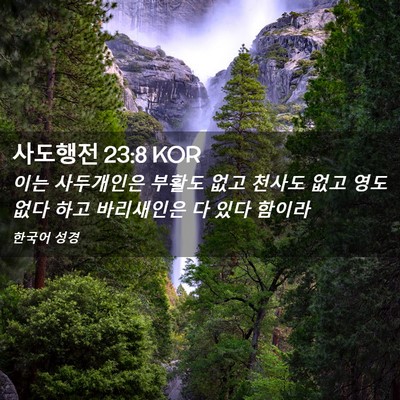 Picture 02 - 사도행전 23:8 KOR - 이는 사두개인은 부활도 없고 천사도 - Bible Verse Picture