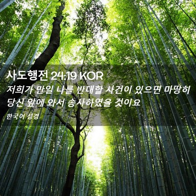 Picture 02 - 사도행전 24:19 KOR - 저희가 만일 나를 반대할 사건이 - Bible Verse Picture