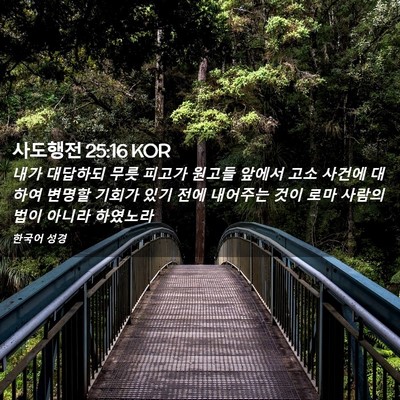 Picture 02 - 사도행전 25:16 KOR - 내가 대답하되 무릇 피고가 원고들 - Bible Verse Picture