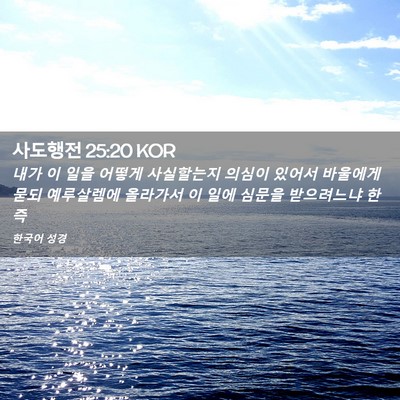 Picture 02 - 사도행전 25:20 KOR - 내가 이 일을 어떻게 사실할는지 - Bible Verse Picture