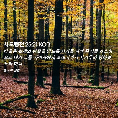 Picture 02 - 사도행전 25:21 KOR - 바울은 황제의 판결을 받도록 자기를 - Bible Verse Picture