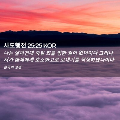 Picture 02 - 사도행전 25:25 KOR - 나는 살피건대 죽일 죄를 범한 일이 - Bible Verse Picture