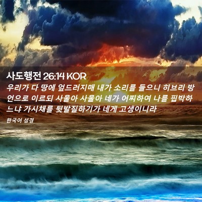 Picture 02 - 사도행전 26:14 KOR - 우리가 다 땅에 엎드러지매 내가 - Bible Verse Picture