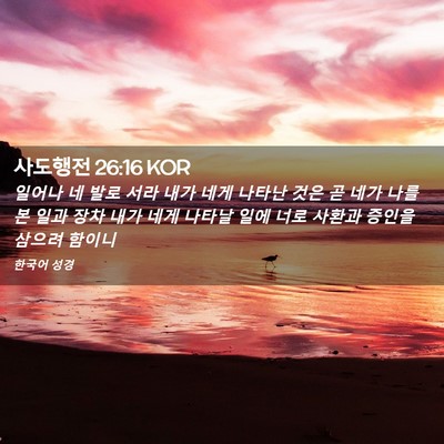 Picture 02 - 사도행전 26:16 KOR - 일어나 네 발로 서라 내가 네게 - Bible Verse Picture