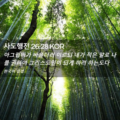 Picture 02 - 사도행전 26:28 KOR - 아그립바가 바울더러 이르되 네가 - Bible Verse Picture