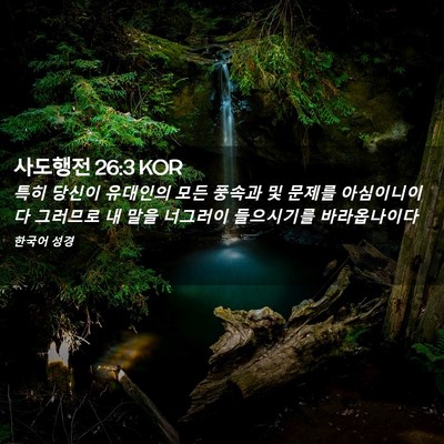 Picture 02 - 사도행전 26:3 KOR - 특히 당신이 유대인의 모든 풍속과 - Bible Verse Picture