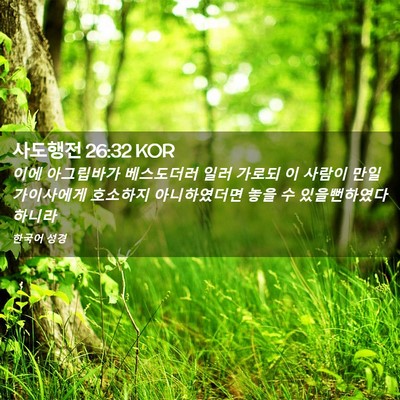 Picture 02 - 사도행전 26:32 KOR - 이에 아그립바가 베스도더러 일러 - Bible Verse Picture