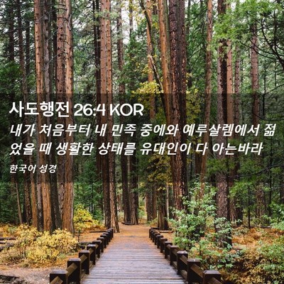 Picture 02 - 사도행전 26:4 KOR - 내가 처음부터 내 민족 중에와 - Bible Verse Picture