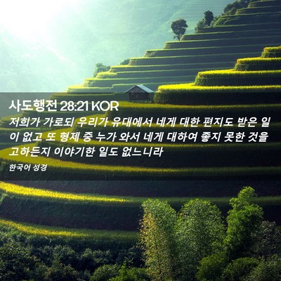 Picture 02 - 사도행전 28:21 KOR - 저희가 가로되 우리가 유대에서 네게 - Bible Verse Picture