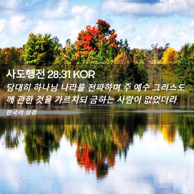 Picture 02 - 사도행전 28:31 KOR - 담대히 하나님 나라를 전파하며 주 - Bible Verse Picture