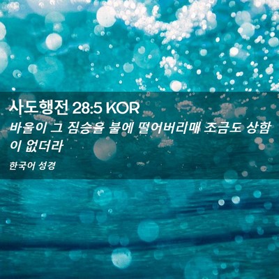 Picture 02 - 사도행전 28:5 KOR - 바울이 그 짐승을 불에 떨어버리매 - Bible Verse Picture