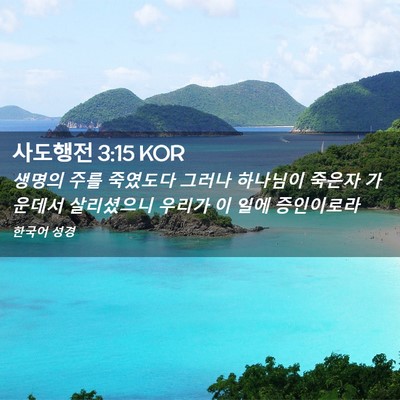 Picture 02 - 사도행전 3:15 KOR - 생명의 주를 죽였도다 그러나 - Bible Verse Picture