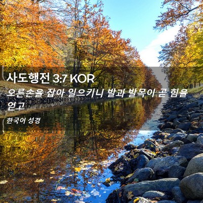 Picture 02 - 사도행전 3:7 KOR - 오른손을 잡아 일으키니 발과 발목이 - Bible Verse Picture