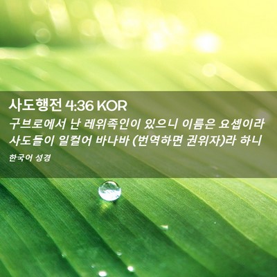 Picture 02 - 사도행전 4:36 KOR - 구브로에서 난 레위족인이 있으니 - Bible Verse Picture