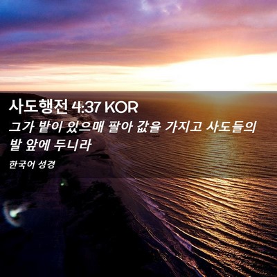 Picture 02 - 사도행전 4:37 KOR - 그가 밭이 있으매 팔아 값을 가지고 - Bible Verse Picture