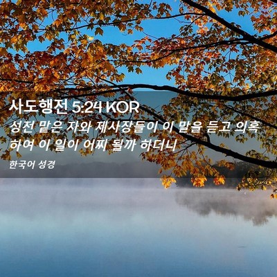 Picture 02 - 사도행전 5:24 KOR - 성전 맡은 자와 제사장들이 이 말을 - Bible Verse Picture