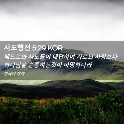 Picture 02 - 사도행전 5:29 KOR - 베드로와 사도들이 대답하여 가로되 - Bible Verse Picture