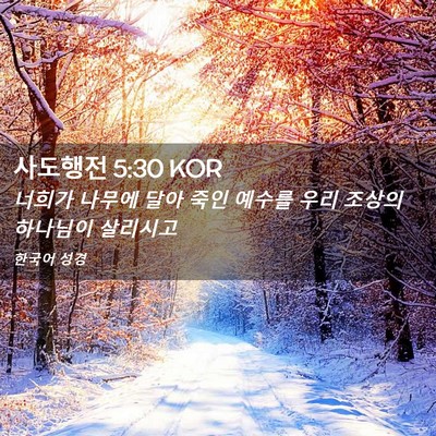 Picture 02 - 사도행전 5:30 KOR - 너희가 나무에 달아 죽인 예수를 - Bible Verse Picture