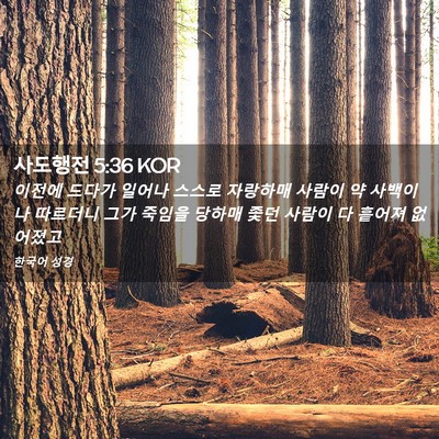 Picture 02 - 사도행전 5:36 KOR - 이전에 드다가 일어나 스스로 - Bible Verse Picture