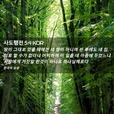 Picture 02 - 사도행전 5:4 KOR - 땅이 그대로 있을 때에는 네 땅이 - Bible Verse Picture