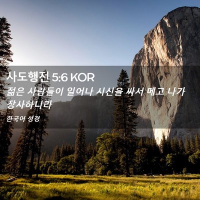 Picture 02 - 사도행전 5:6 KOR - 젊은 사람들이 일어나 시신을 싸서 - Bible Verse Picture