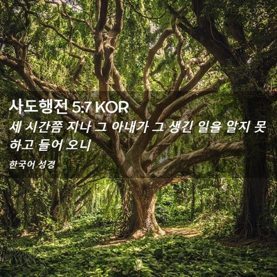 Picture 02 - 사도행전 5:7 KOR - 세 시간쯤 지나 그 아내가 그 생긴 - Bible Verse Picture