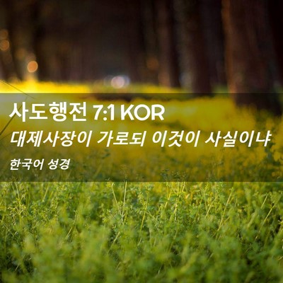 Picture 02 - 사도행전 7:1 KOR - 대제사장이 가로되 이것이 - Bible Verse Picture