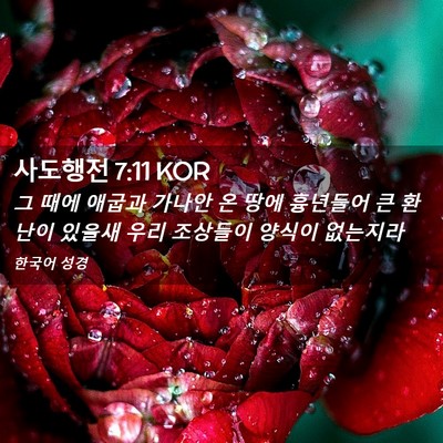 Picture 02 - 사도행전 7:11 KOR - 그 때에 애굽과 가나안 온 땅에 - Bible Verse Picture