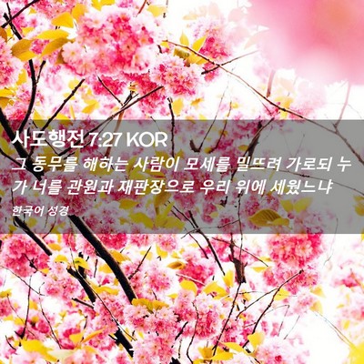 Picture 02 - 사도행전 7:27 KOR - 그 동무를 해하는 사람이 모세를 - Bible Verse Picture