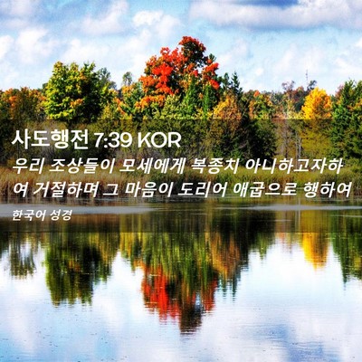 Picture 02 - 사도행전 7:39 KOR - 우리 조상들이 모세에게 복종치 - Bible Verse Picture