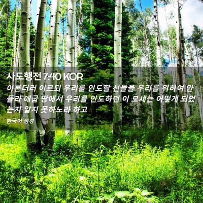 Picture 02 - 사도행전 7:40 KOR - 아론더러 이르되 우리를 인도할 - Bible Verse Picture