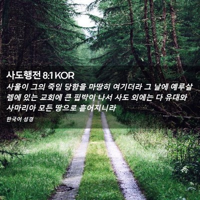 Picture 02 - 사도행전 8:1 KOR - 사울이 그의 죽임 당함을 마땅히 - Bible Verse Picture
