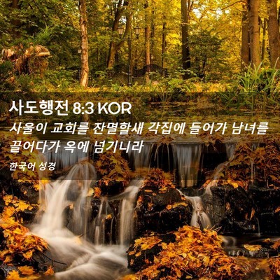 Picture 02 - 사도행전 8:3 KOR - 사울이 교회를 잔멸할새 각집에 - Bible Verse Picture
