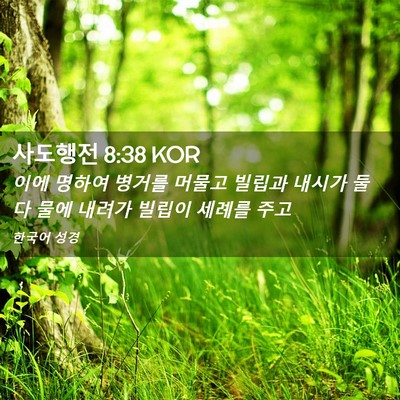 Picture 02 - 사도행전 8:38 KOR - 이에 명하여 병거를 머물고 빌립과 - Bible Verse Picture