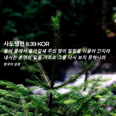 Picture 02 - 사도행전 8:39 KOR - 둘이 물에서 올라갈새 주의 영이 - Bible Verse Picture